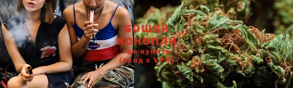 шишки Волоколамск