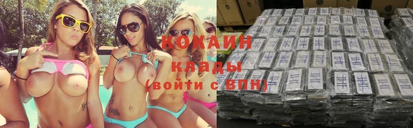 шишки Волоколамск