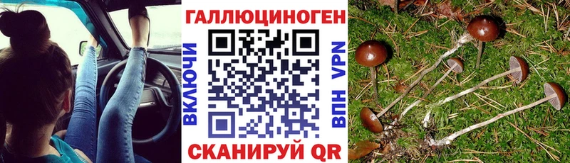 Купить  Невельск  Галлюциногенные грибы мицелий 